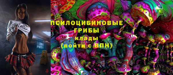 винт Куйбышев